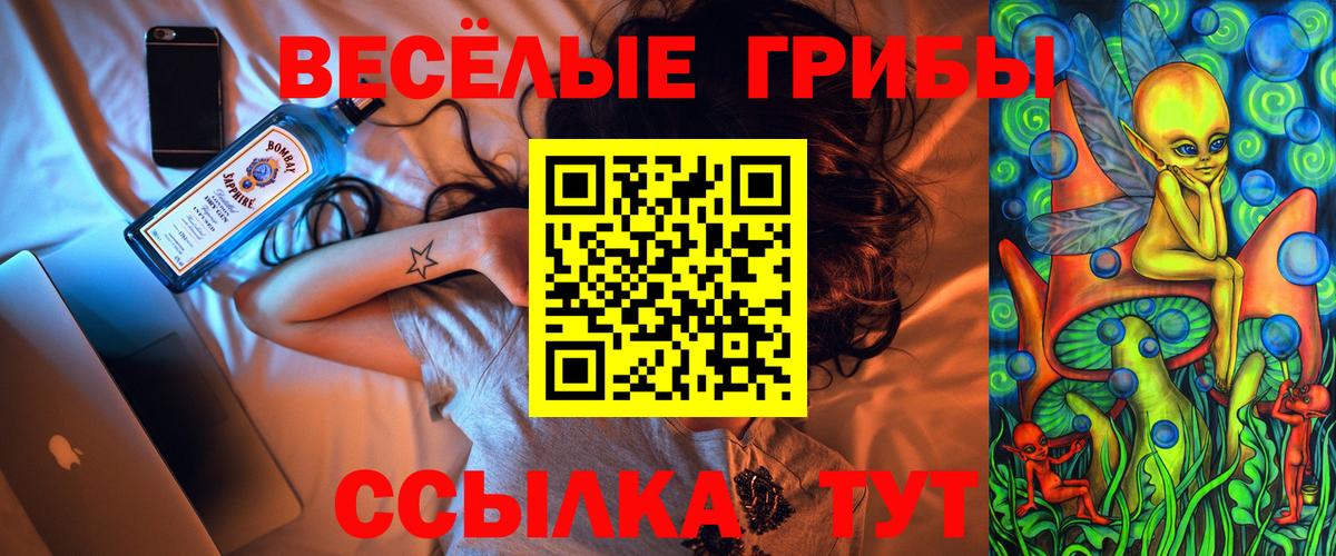 Сызрань  Галлюциногенные грибы Cubensis  Вход с VPN 