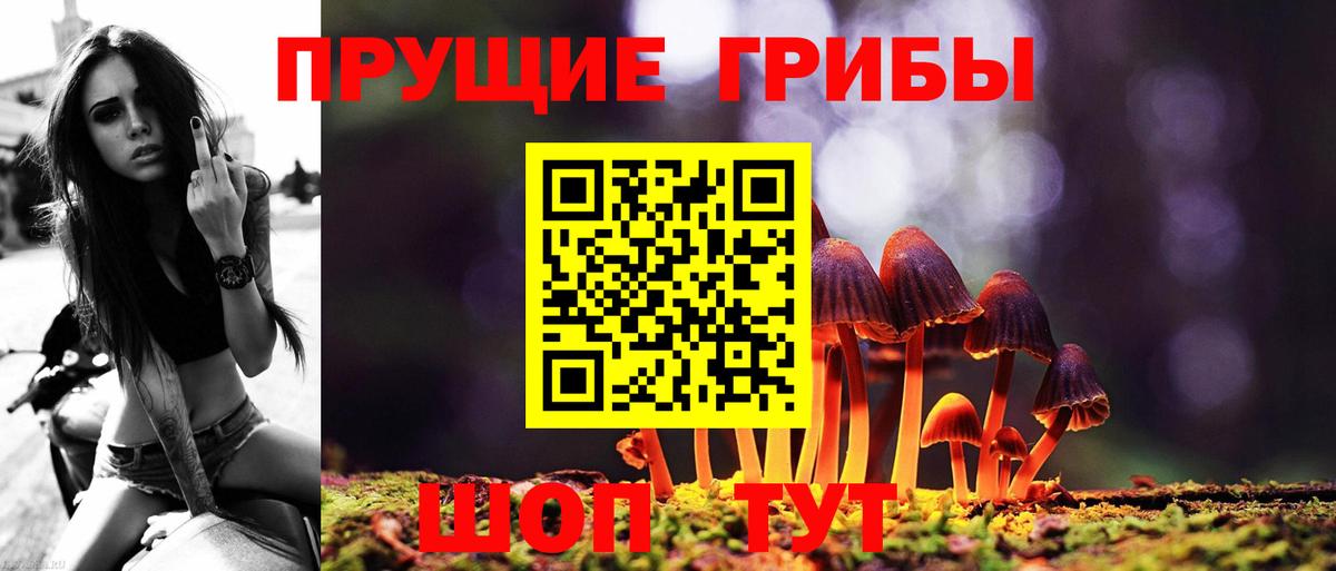 Галлюциногенные грибы мицелий Сызрань